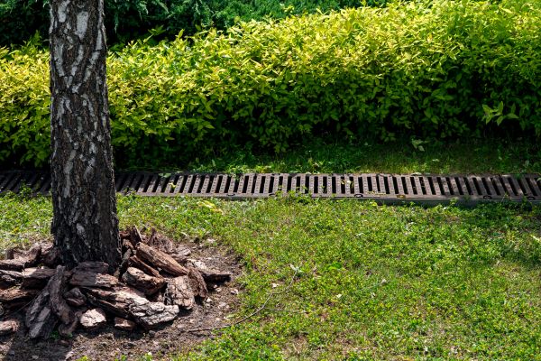 Cost of Yard Water Redirection in Springfield